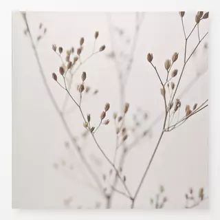 Tischdecke Wildblumen Rainkohl Beige