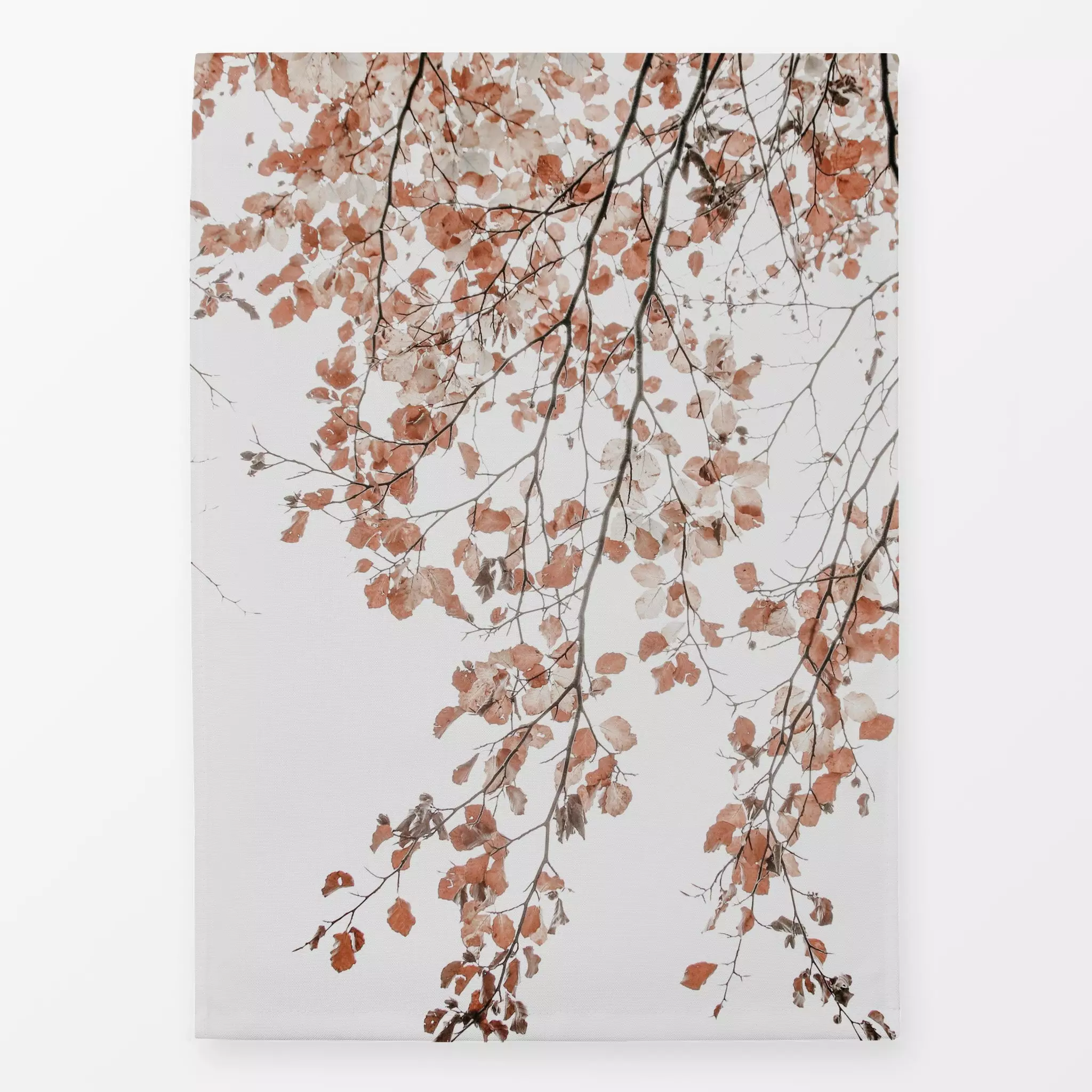 Geschirrtücher Birkenblätter im Herbst - Herbst, Natur & Landschaft, Pflanzen & Botanik - von „Monika Strigel"; Blätter, Wal...