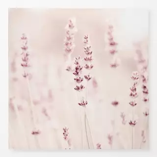 Tischdecke Lavendel Beige