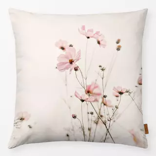 Kissen Blüten Cosmea Rosa Sommer
