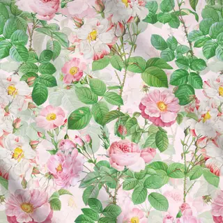 Meterware Redouté  Rosen Garten