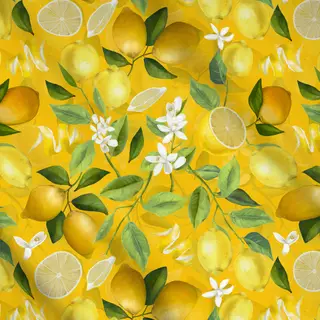 Meterware Zitronen Limonade 1