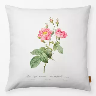 Kissen Antike Sommer Rosen  1