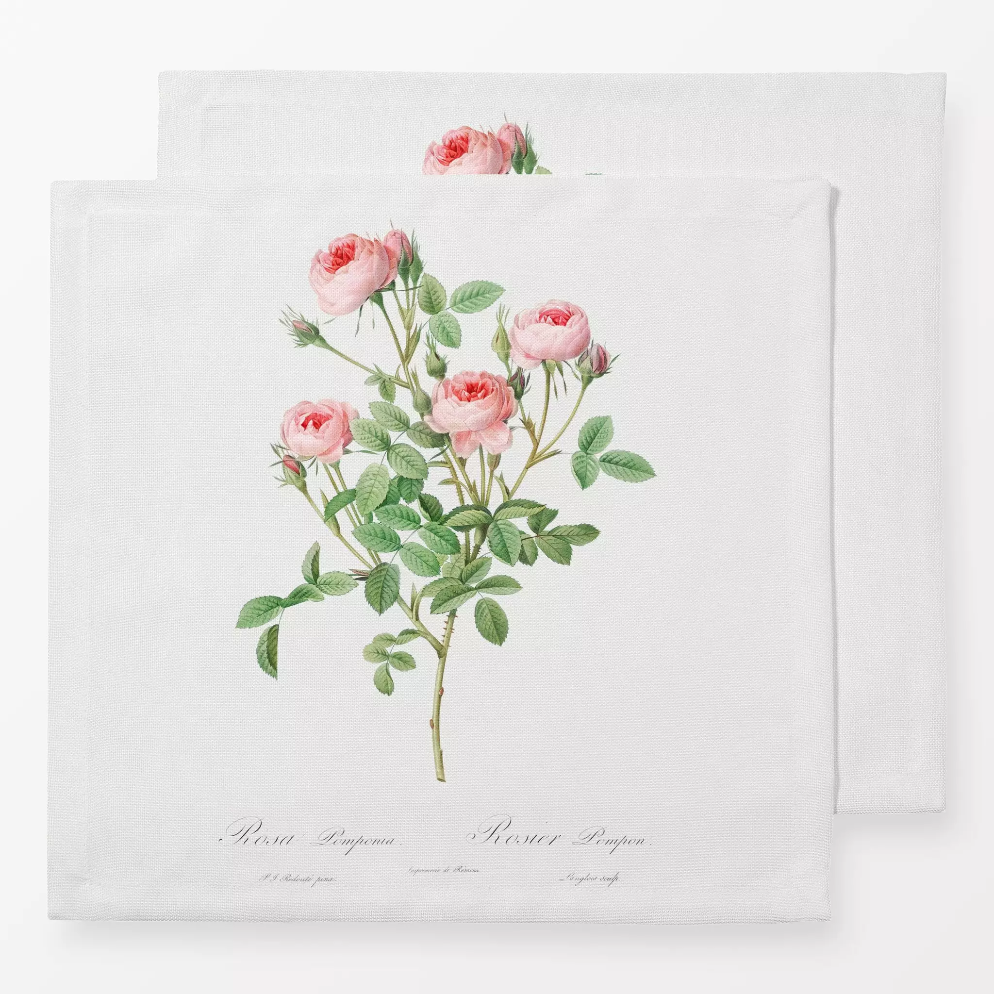 Servietten Antike Sommer Rosen - Sommer, Pflanzen & Botanik, Retro & Vintage - von „Uta Naumann"; Natur, Blumen, Blätter, Ro...