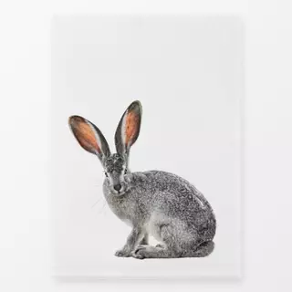 Geschirrtücher Osterhase