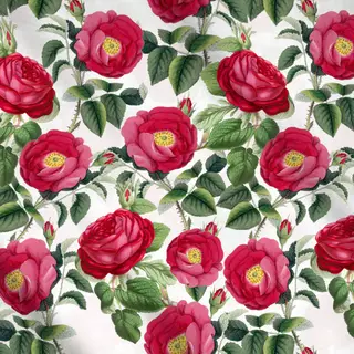 Meterware Vintage Rosen