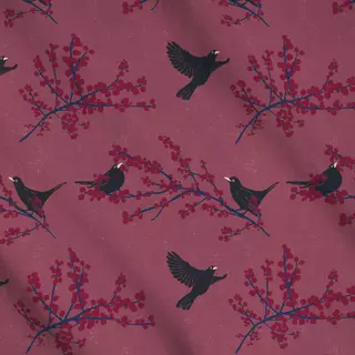 Meterware Chirping Beauties rose