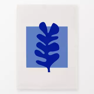 Geschirrtücher Seaweed