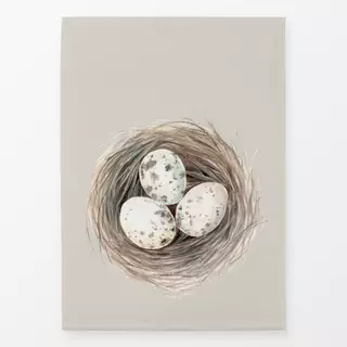 Geschirrtücher Nest mit 3 Eiern