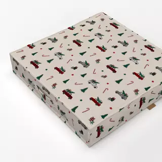 Bodenkissen Merry Christmas Pattern