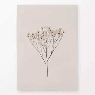 Geschirrtücher Dried Flower