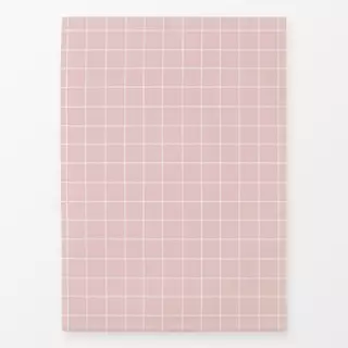 Geschirrtücher Thin Checks Rosé
