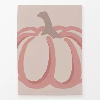 Geschirrtücher Kürbis Pumpkin rosa