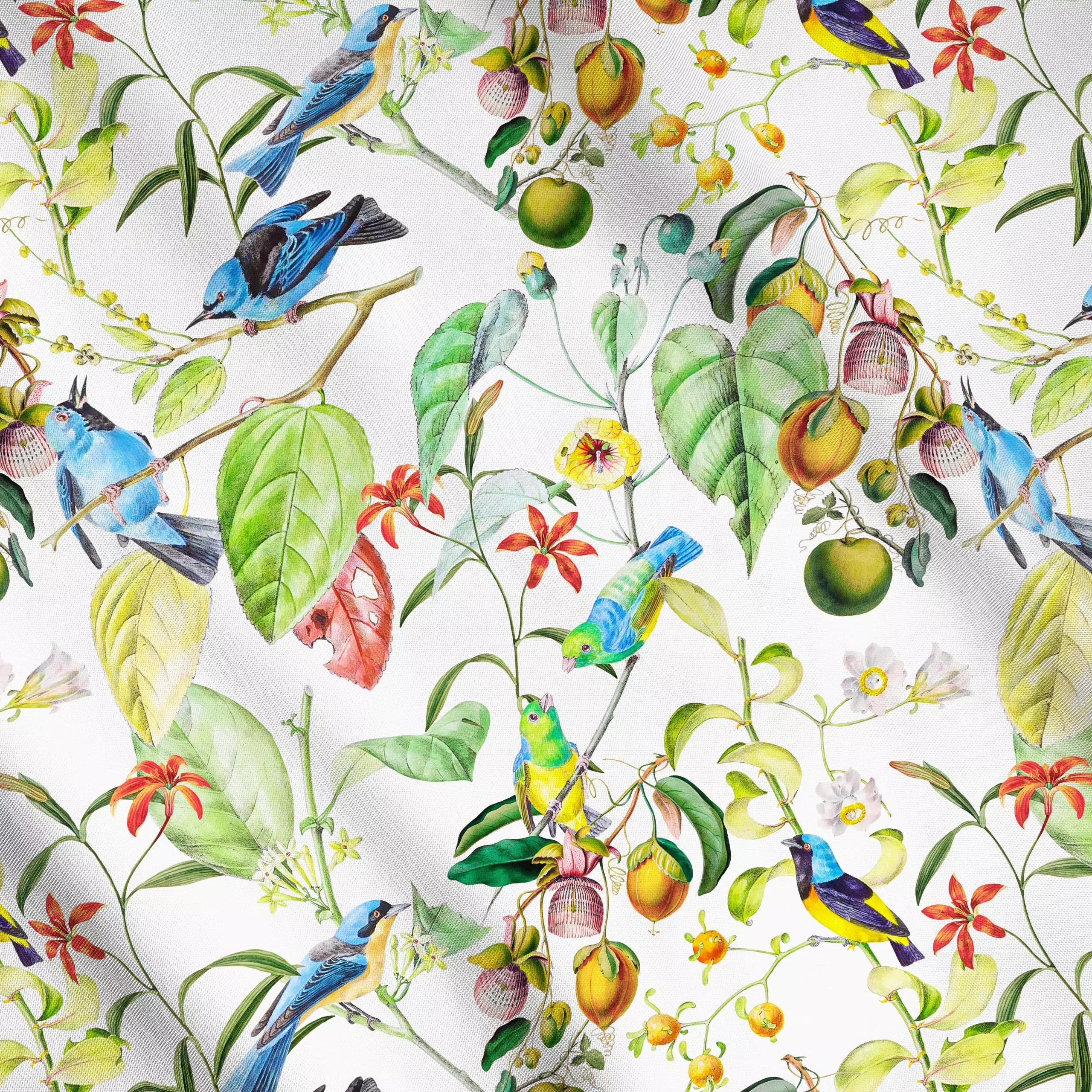 Meterware Tropischer Vogel Dschungel, Blumen, tropisch, Tiere, Sommer, von Uta Naumann