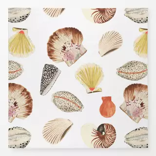 Tischdecke Shells