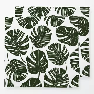 philodendron zebrina Alocasia zebrina
