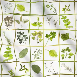 Meterware Gartenkräuter und Wildkräuter