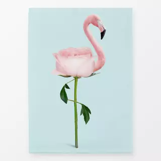 Geschirrtücher Flamingo Flower