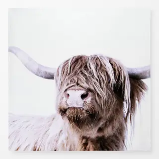 Tischdecke Hochlandrind Frida