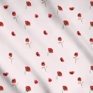 Meterware Rosen im Garten