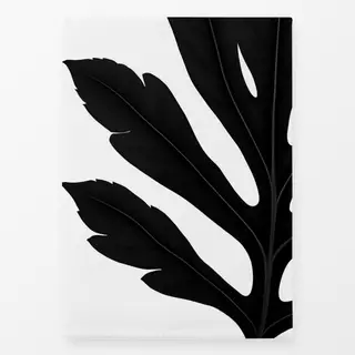 Geschirrtücher Feuille Noire