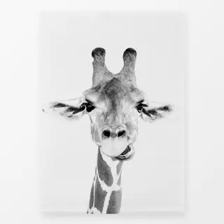 Geschirrtuch Happy Giraffe