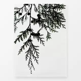 Geschirrtücher Winter Branches 14