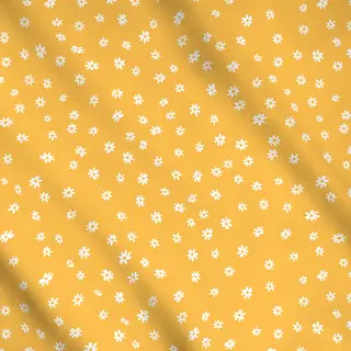 Meterware Gänseblümchen - Spring begin