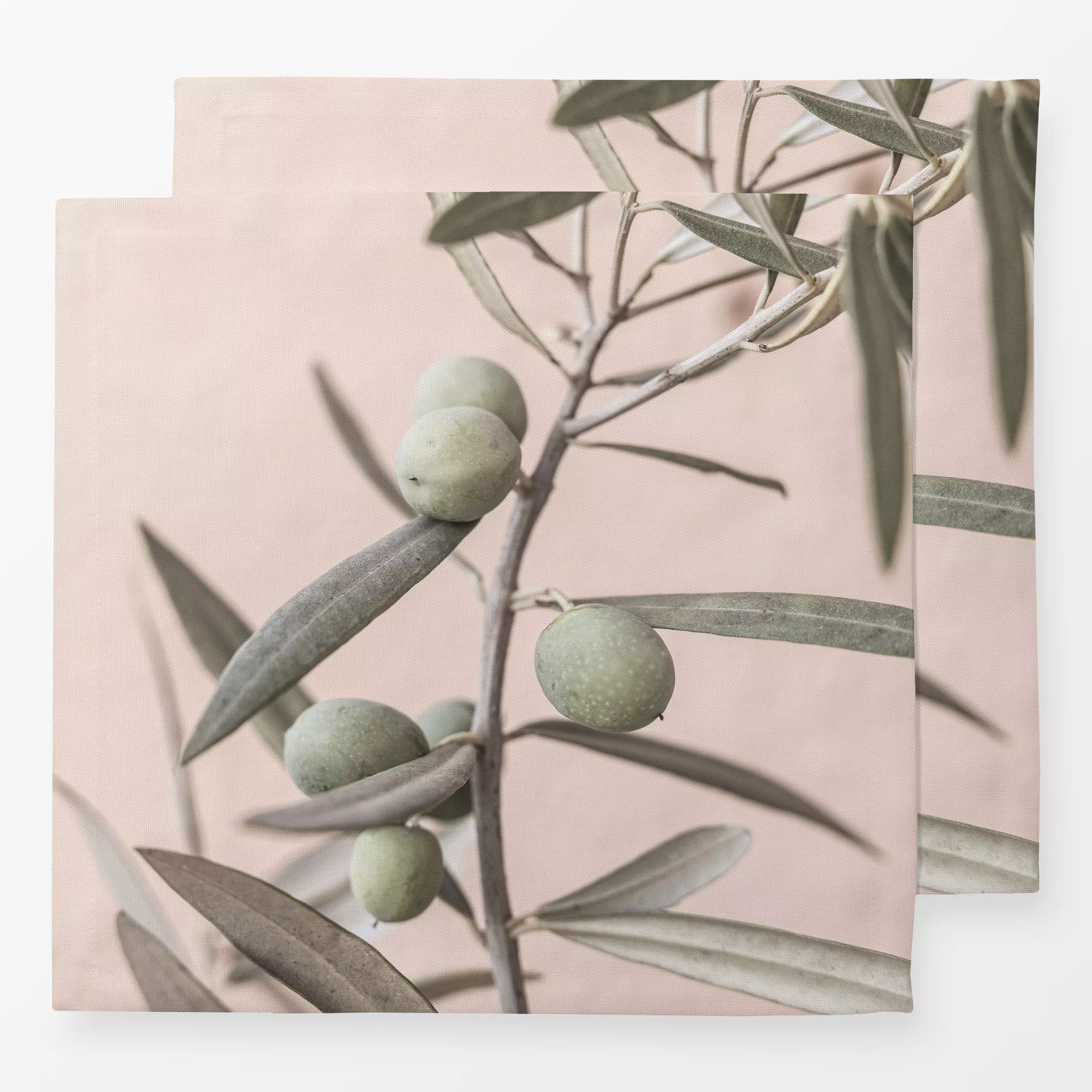 Servietten Olivo - Pflanzen & Botanik - von „Sisi and Seb"; Baumwollpflanze, Olive / Olivenbaum, Botanical, mediterran, plan...