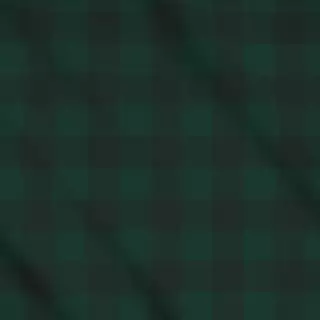 Meterware Gingham Classic Grün Schwarz