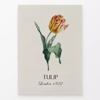 Geschirrtücher Nostalgische Tulpe