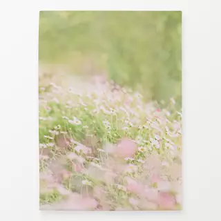 Geschirrtücher Spring Daisy flowers