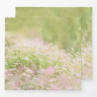 Servietten Spring Daisy flowers