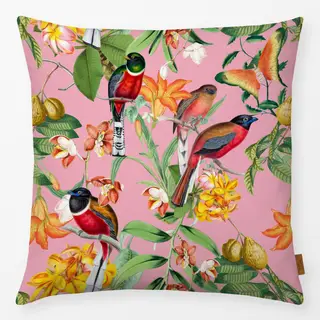 Kissen Bunte tropische Vögel pink