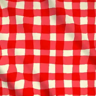 Meterware Italian Red Gingham Pattern