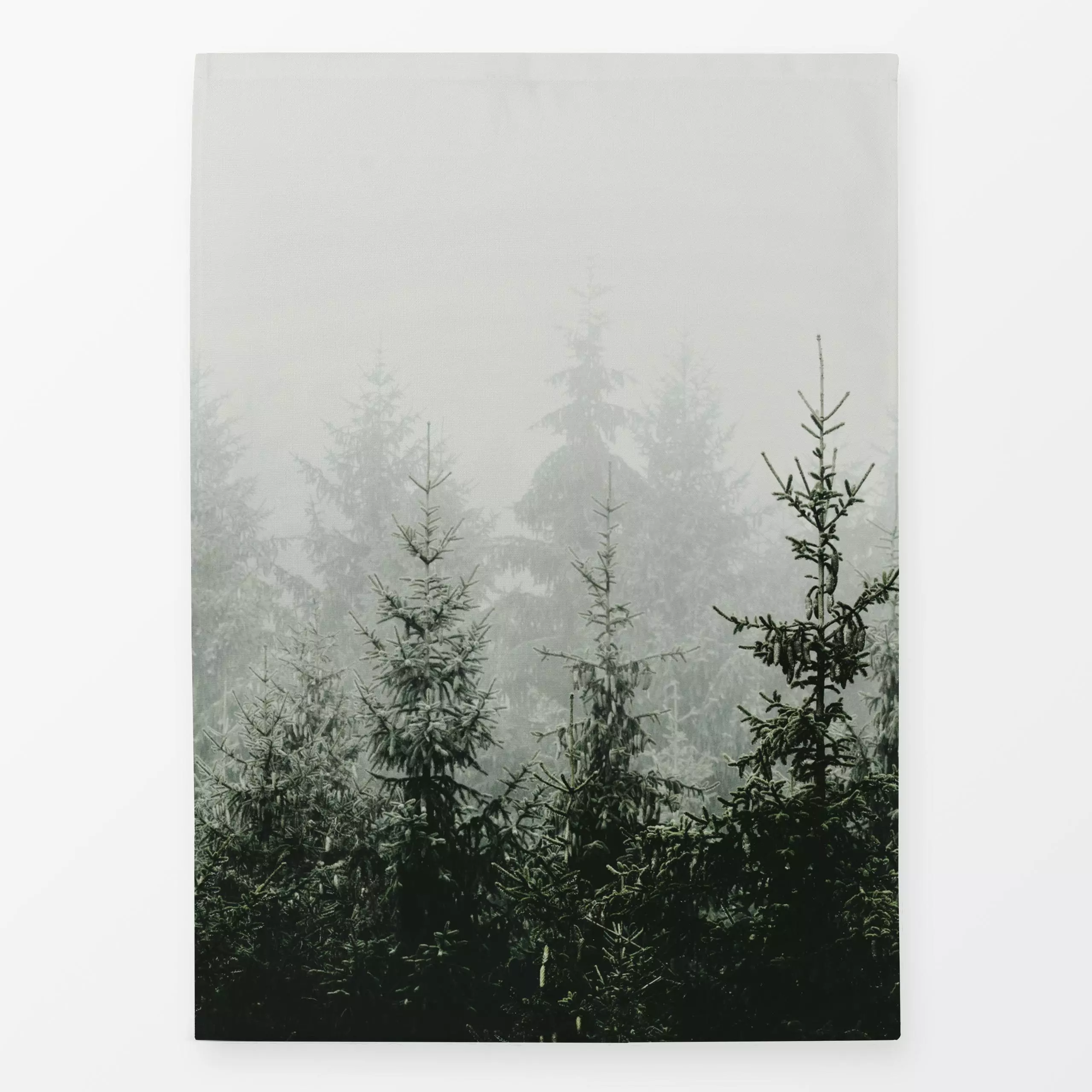 Geschirrtücher Bergwald am Morgen - Natur & Landschaft, Weihnachten, Pflanzen & Botanik - von „Monika Strigel"; Natur, Berge...
