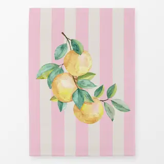 Geschirrtücher Orangen rosa Streifen