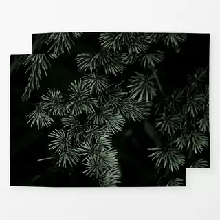 Tischset Winter Branches 13
