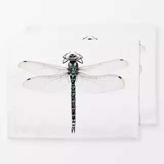 Tischset Libelle