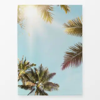 Geschirrtücher Palm In The Sun