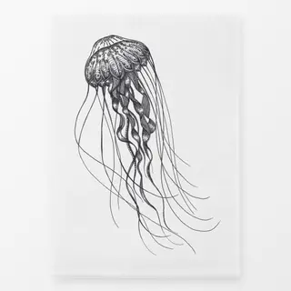 Geschirrtücher Tiefseequalle