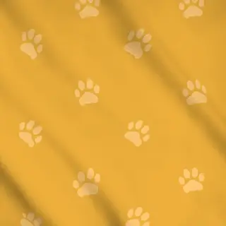 Meterware Cut Lion – Löwe