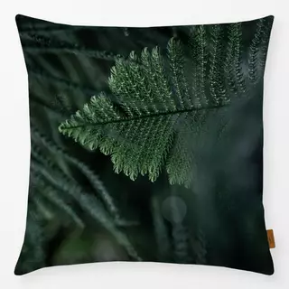 Kissen Winter Branches 11