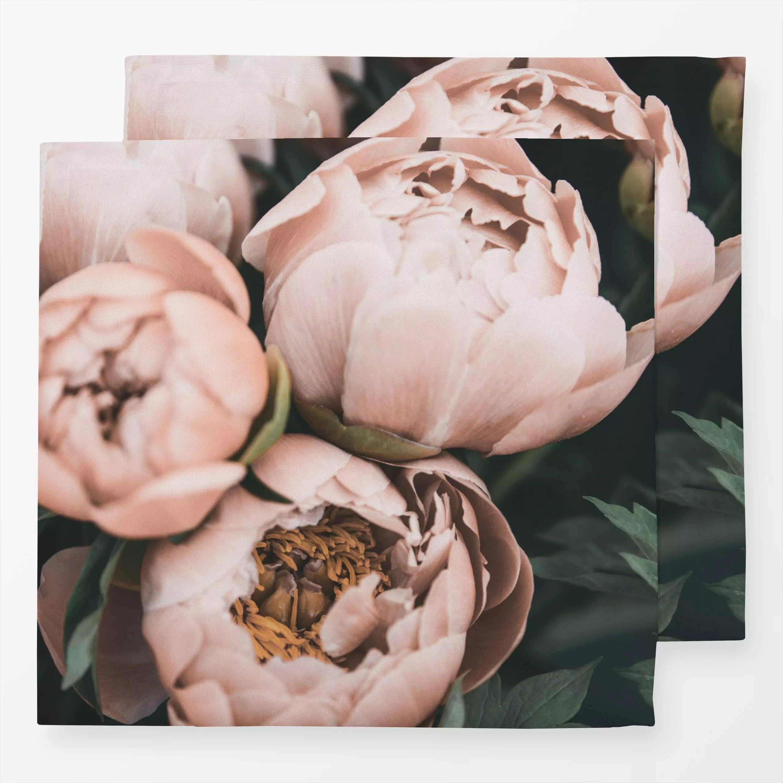 Servietten Peonies coral - Pflanzen & Botanik - von „Sisi and Seb"; Pfingstrosen