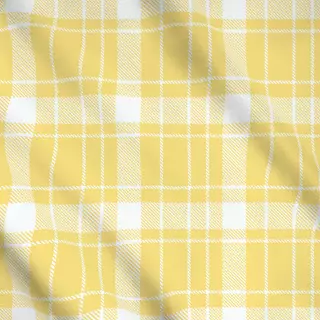 Meterware Summer Gingham Checks