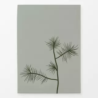 Geschirrtücher Feine Pinien 3