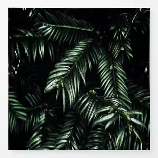 Tischdecke Schwarzwald Tanne Original