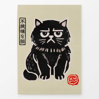 Geschirrtücher Grumpy Cat