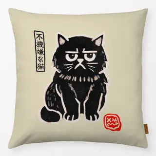 Kissen Grumpy Cat