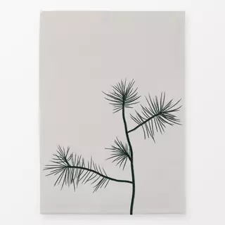 Geschirrtücher Grøn Kæbe Lys